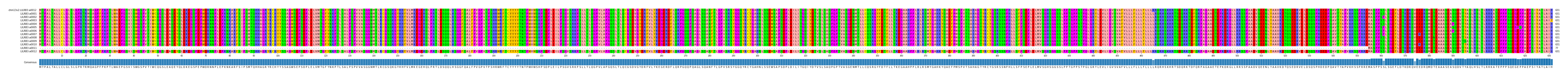 Multiple Alignments (by translate haplotype frequency)