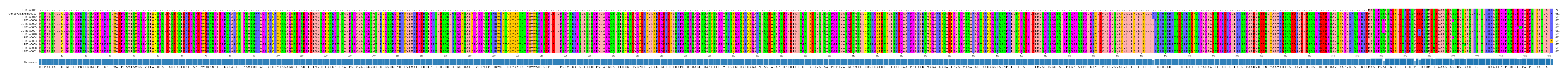 Multiple Alignments (by translate haplotype similarity)