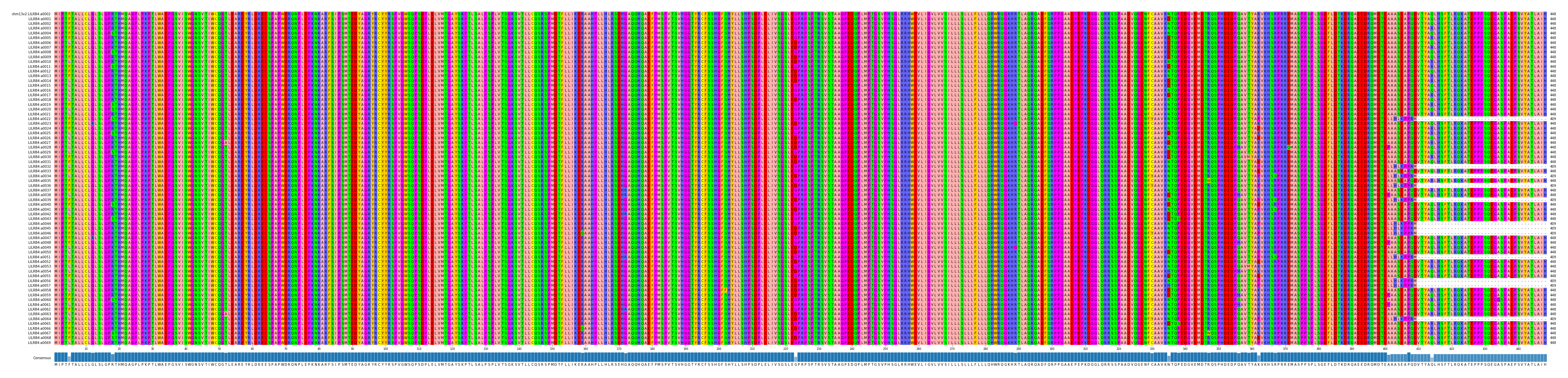 Multiple Alignments (by translate haplotype frequency)