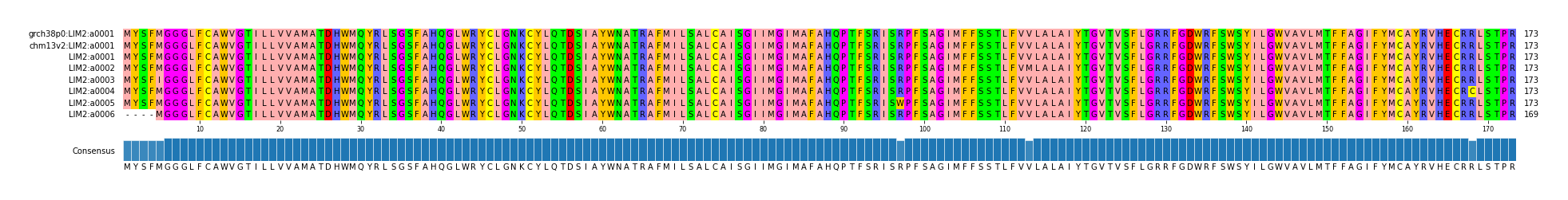 Multiple Alignments (by translate haplotype frequency)