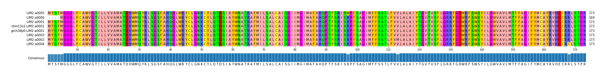Multiple Alignments (by translate haplotype similarity)