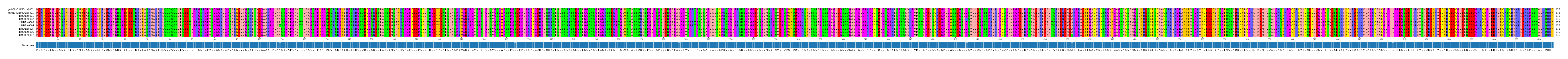 Multiple Alignments (by translate haplotype frequency)