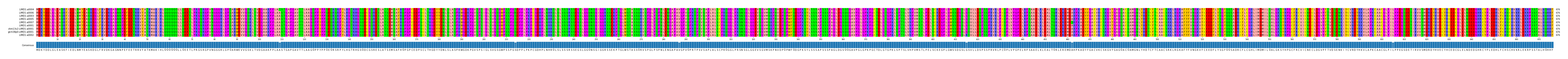 Multiple Alignments (by translate haplotype similarity)