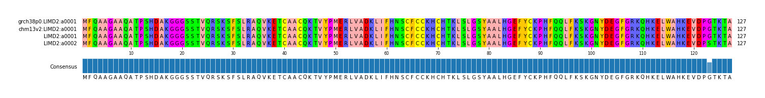 Multiple Alignments (by translate haplotype similarity)