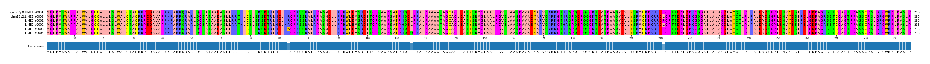 Multiple Alignments (by translate haplotype frequency)
