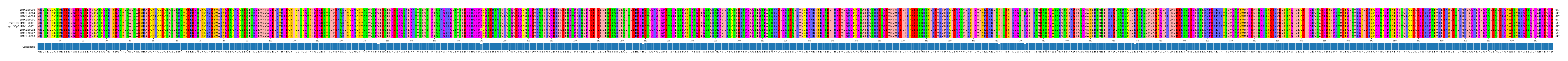 Multiple Alignments (by translate haplotype similarity)