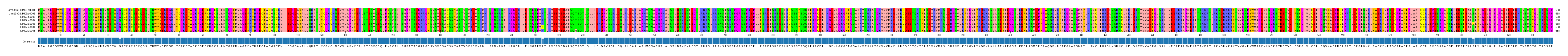 Multiple Alignments (by translate haplotype frequency)