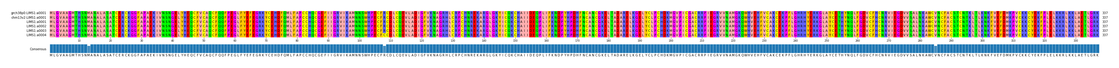 Multiple Alignments (by translate haplotype frequency)