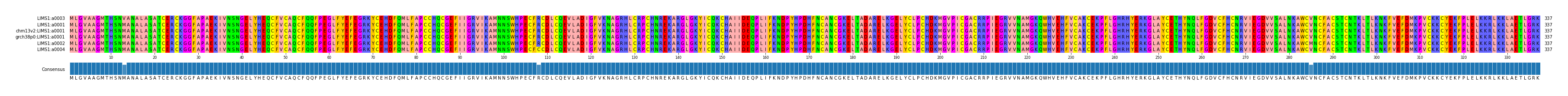 Multiple Alignments (by translate haplotype similarity)
