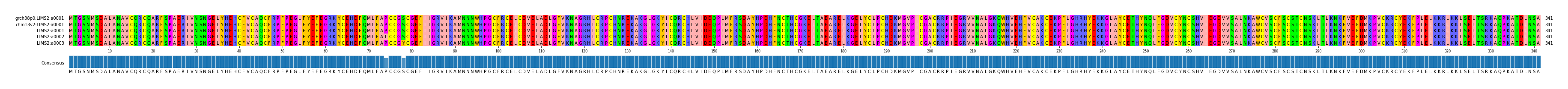 Multiple Alignments (by translate haplotype frequency)