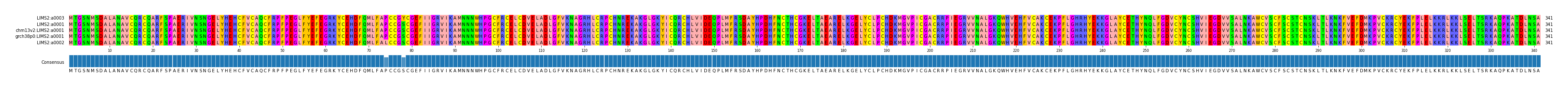 Multiple Alignments (by translate haplotype similarity)