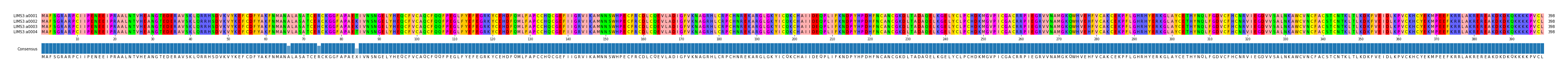 Multiple Alignments (by translate haplotype frequency)