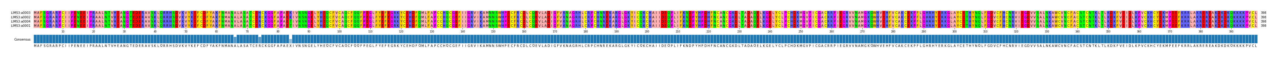 Multiple Alignments (by translate haplotype similarity)