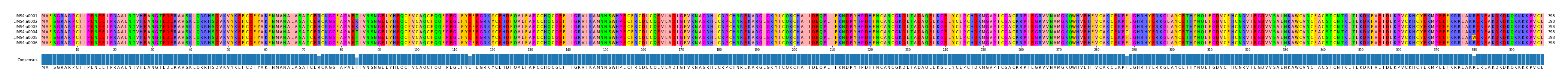 Multiple Alignments (by translate haplotype frequency)