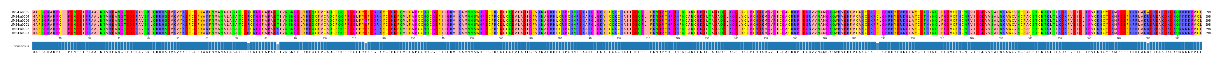 Multiple Alignments (by translate haplotype similarity)