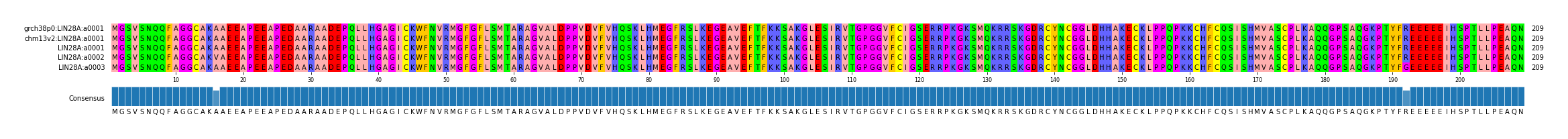 Multiple Alignments (by translate haplotype frequency)
