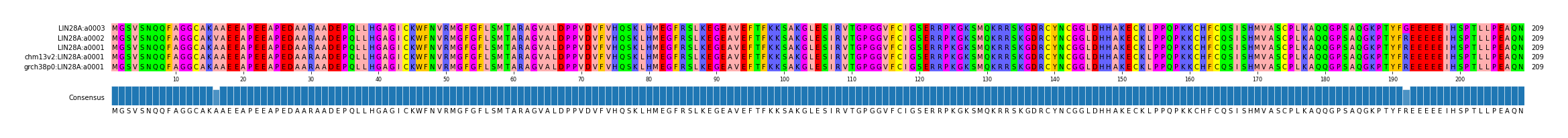 Multiple Alignments (by translate haplotype similarity)