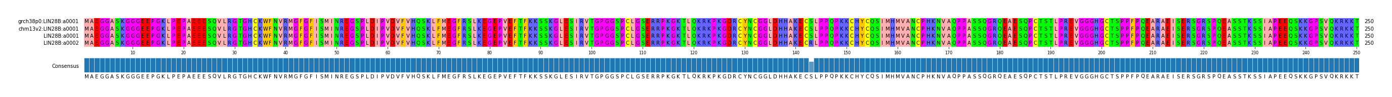 Multiple Alignments (by translate haplotype frequency)
