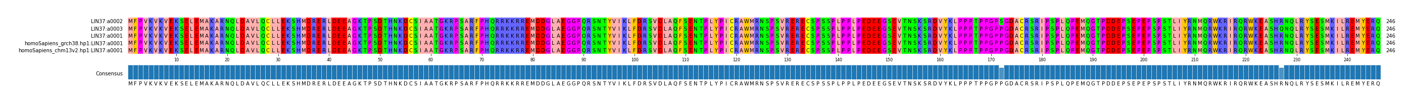Multiple Alignments (by translate haplotype similarity)
