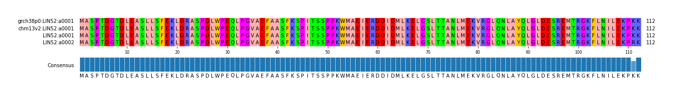 Multiple Alignments (by translate haplotype similarity)