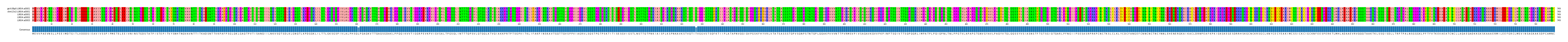 Multiple Alignments (by translate haplotype frequency)