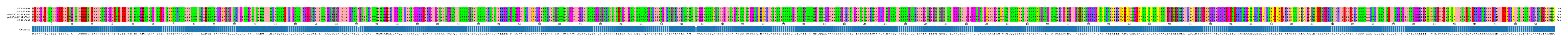 Multiple Alignments (by translate haplotype similarity)