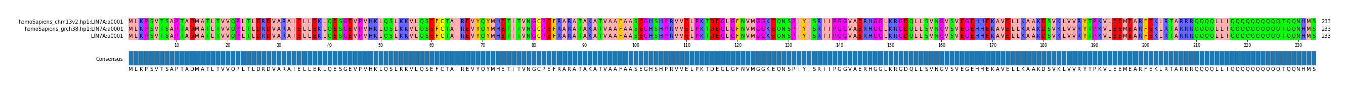 Multiple Alignments (by translate haplotype similarity)