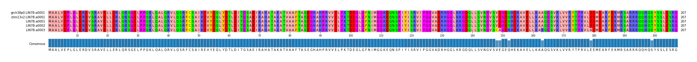 Multiple Alignments (by translate haplotype frequency)