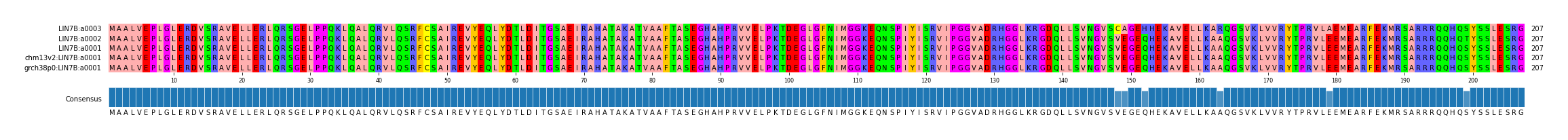 Multiple Alignments (by translate haplotype similarity)