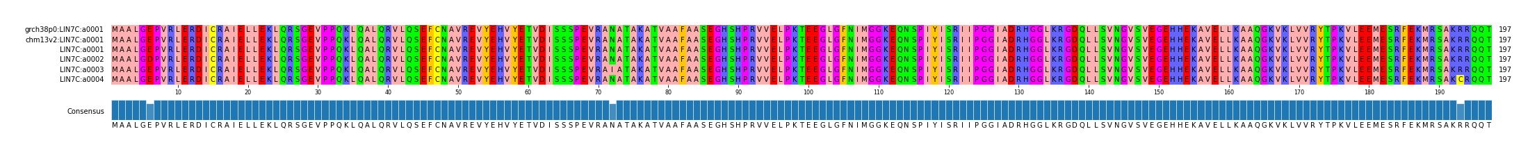 Multiple Alignments (by translate haplotype frequency)