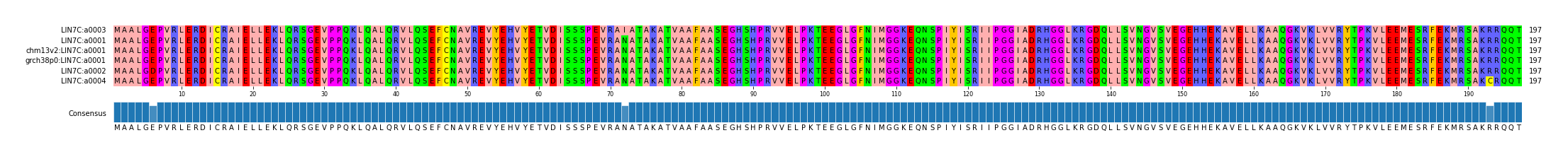 Multiple Alignments (by translate haplotype similarity)