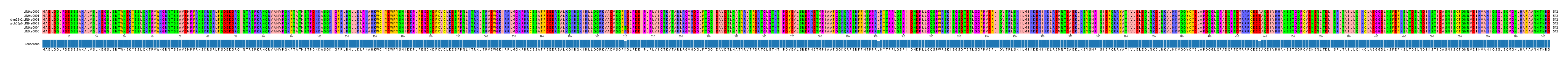 Multiple Alignments (by translate haplotype similarity)