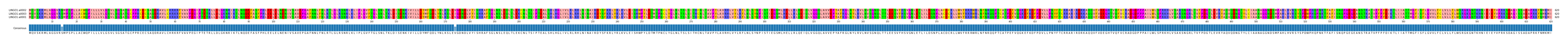 Multiple Alignments (by translate haplotype similarity)