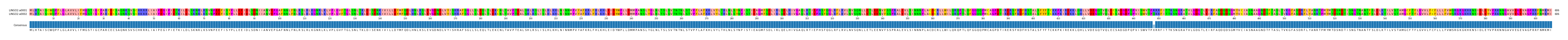 Multiple Alignments (by translate haplotype frequency)