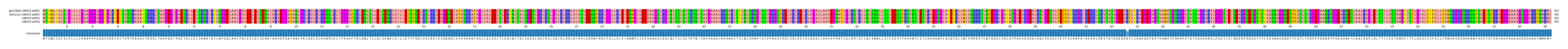 Multiple Alignments (by translate haplotype similarity)