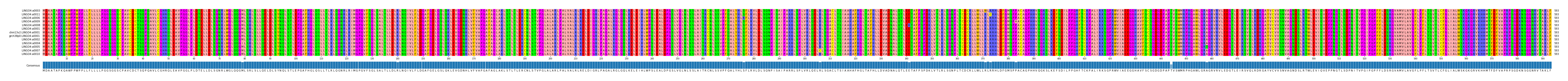 Multiple Alignments (by translate haplotype similarity)