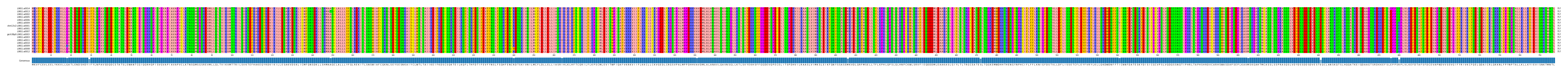Multiple Alignments (by translate haplotype similarity)