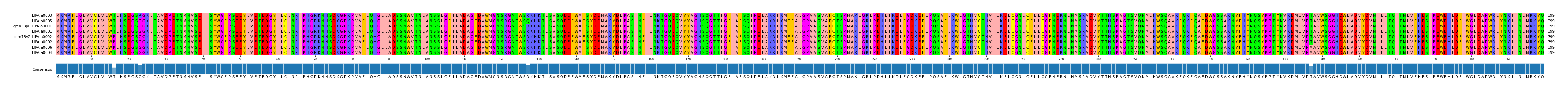 Multiple Alignments (by translate haplotype similarity)