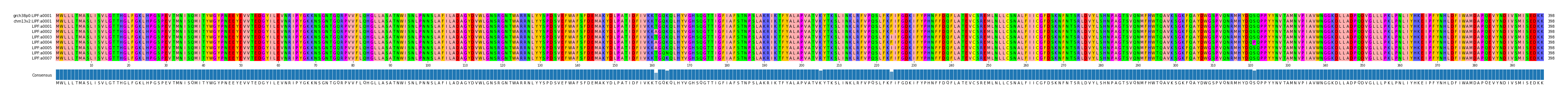 Multiple Alignments (by translate haplotype frequency)