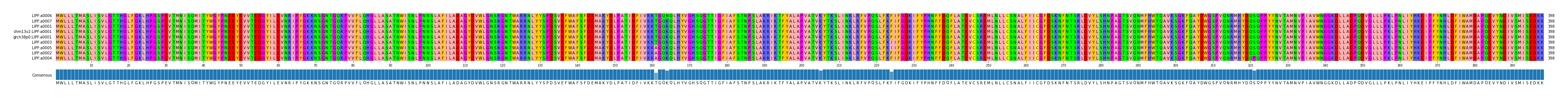 Multiple Alignments (by translate haplotype similarity)