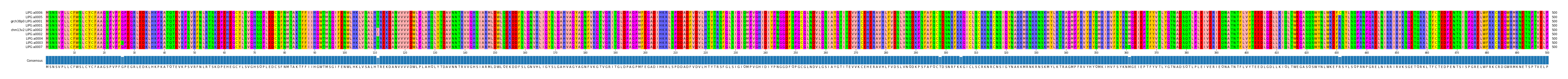 Multiple Alignments (by translate haplotype similarity)