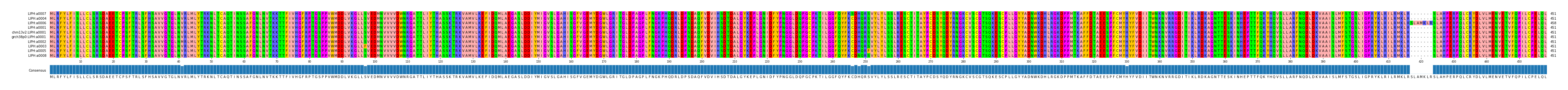 Multiple Alignments (by translate haplotype similarity)