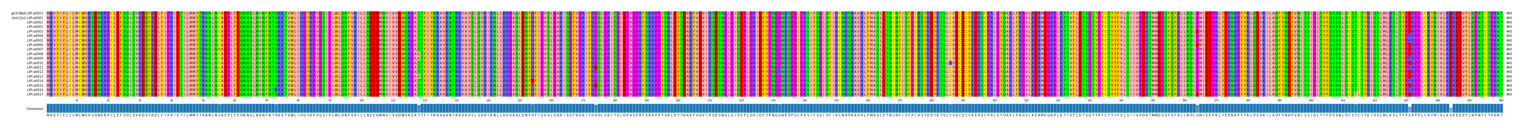 Multiple Alignments (by translate haplotype frequency)