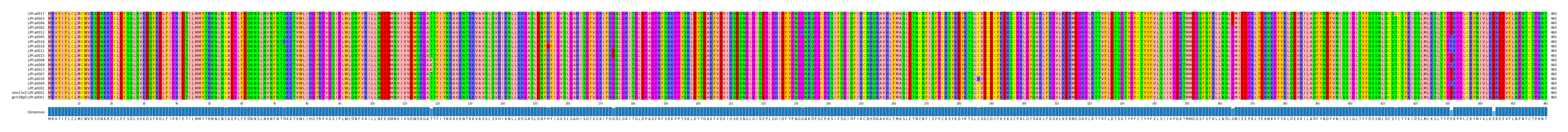 Multiple Alignments (by translate haplotype similarity)