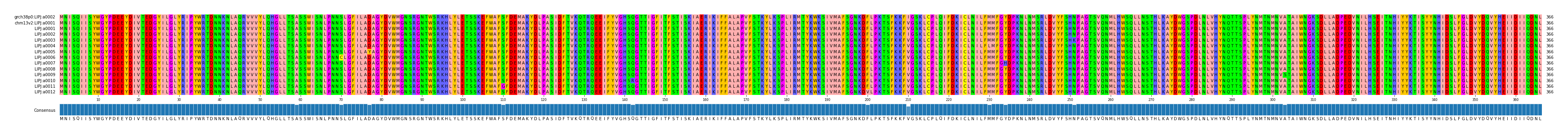 Multiple Alignments (by translate haplotype frequency)