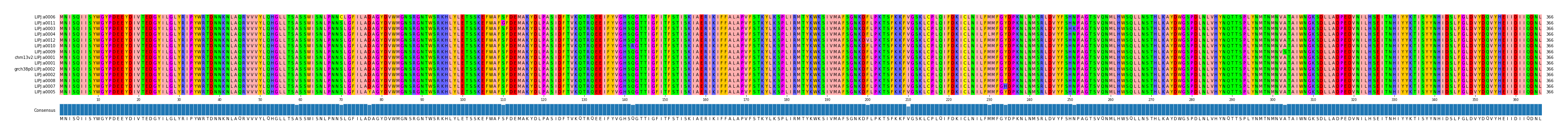 Multiple Alignments (by translate haplotype similarity)