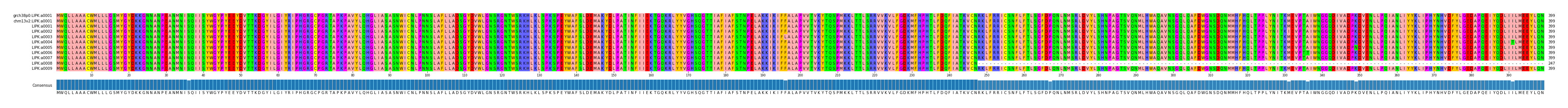 Multiple Alignments (by translate haplotype frequency)