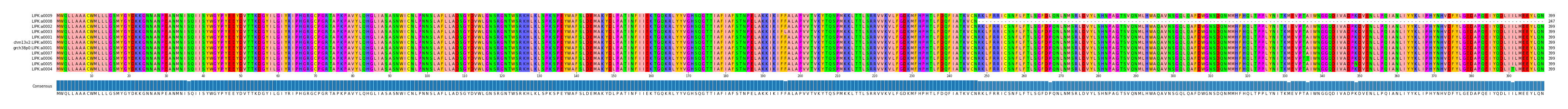Multiple Alignments (by translate haplotype similarity)