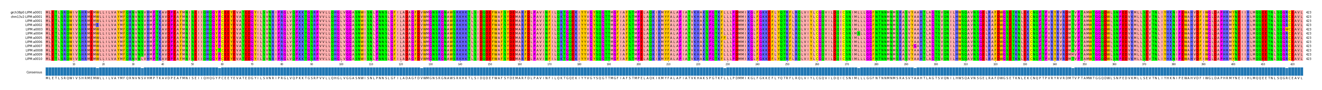 Multiple Alignments (by translate haplotype frequency)