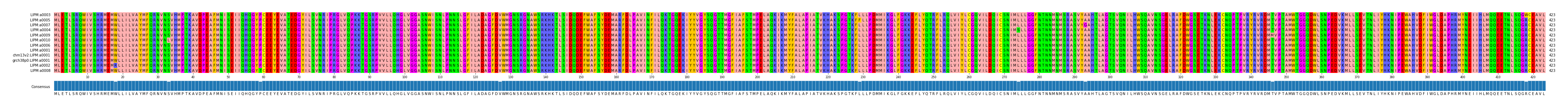 Multiple Alignments (by translate haplotype similarity)